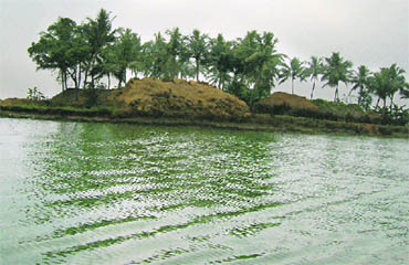 A channel on way to False Point
