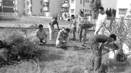 Residents of the BSNL Colony clean a park in Patiala on Sunday.