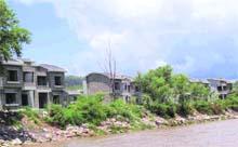 Encroachments on forest land of the Kosi range of the Ramnagar forest division in the Dikhuli area. The area has become a corridor for wild animals between the Corbett Tiger reserve to the Ramnagar forest division along the Kosi river.