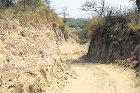 Roads being carved out by unscrupulous elements after cutting ecologically fragile Shivalik Hills in villages of Majri block located on Chandigarhs periphery