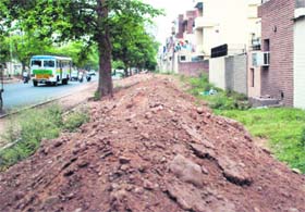 A heap of loose soil piled up behind houses adjoining the road separating Sectors 46 and 47 in Chandigarh