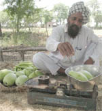 A small farmer, Basakha Singh, selling vegetables cultivated on his land in the Bhai Bakhtaur village of Bathinda. He earlier produced grains and cotton.