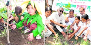 Tiny tots of DAV Public Centenary School plant saplings on school premises and (right) a similar programme goes on at Bhalla Inter College in Haridwar.