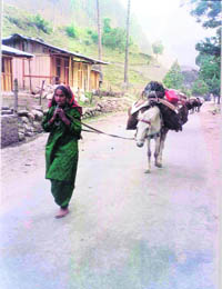 A Gujjar woman and her mules return from the summer pastures in Uttarkashi. 