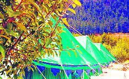 Away from the rush: Sangla Camp 