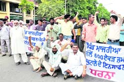 Protesters stage a sit-in in front of the Mohali Deputy Commissioners office on Monday for delay in action against those responsible for levelling of Shivalik Hills in Chandigarhs periphery.