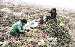 The garbage dump has become an idle playground for the rag-pickers children at the Tejpur road in Ludhiana.