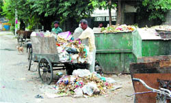 A ragpicker scatters garbage in the Lawrence Road area in Amritsar.