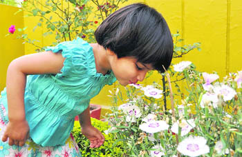 A girl kisses a flower in Dehradun