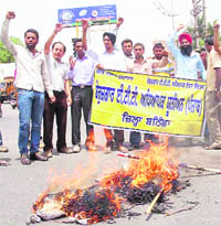 Protesting unemployed ETT teachers burn an effigy of the Chief Minister in Bathinda on Tuesday. 