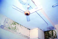 Tragedy waiting to happen: Water seeps through the walls and roof in the waiting hall of the ESI Hospital in Amritsar