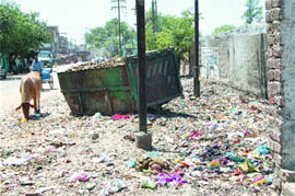 Scattered garbage in the Gwal Mandi area in the ward