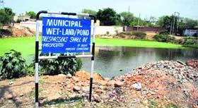 A shrinking pond on the outskirts of Jammu.