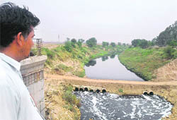 A farmer looks at the Ghaggar near Munak.