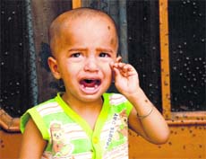 A swarm of flies irritates a child,