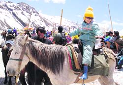  Skiing and horse riding hold attraction for tourists at snow point on the Manali-Leh highway.
