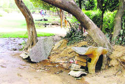 Broken benches at Leisure Valley cause inconvenience to public in Ludhiana