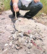 Bones of unidentified bodies, cremated at a city