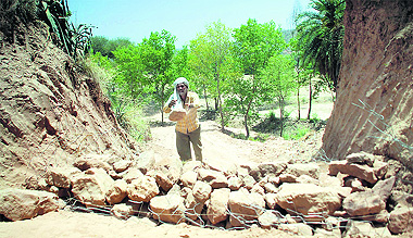 An employee of the forest department builds a stone crate wall to block a road carved out illegally by cutting Shivalik Hills near Gurha village on Tuesday.