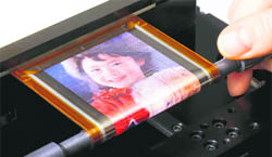 This hand-out picture released by Sony Corporation on Wednesday shows a flexible Organic Light Emitting Display developed by it.