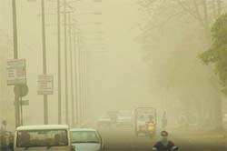 A thick film of dust enveloped Bathinda town on Thursday throwing life out of gear. 