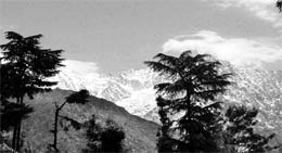 A view of fresh snow at Dhauladhar range on Saturday