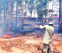Burning of dry leaves and garbage has been causing high levels of air pollution and heat in Ludhiana.