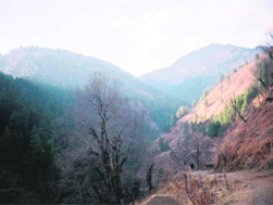 The Sappa Choli pass visible from Langera village. 