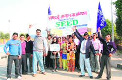 The SEED team 