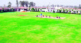 A farmhouse being converted into a cricket ground in the South City area for the LPL in Ludhiana