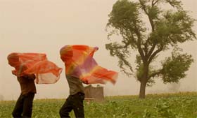 Two boys caught in the storm in Jalandhar