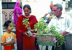 Social activist Rakesh Narula distributing a sapling of Tulsi plant on the eve of the World Environment Day, in Bathinda on Friday