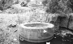 One of the incomplete bridges scheduled to link Manauali and Dheri villages near Mohali.