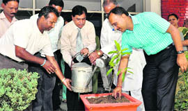    Environment day being celebrated at dolphin Institute in Dehradun on Friday 