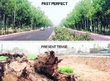 The national highway, which was once lined by green trees, wears a bare look after trees were cut for construction of a six-laned expressway