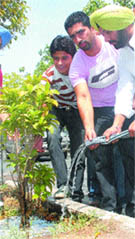 District Youth Congress President (rural) Vikramjit Singh Chaudhary along with activists waters plants on World Environment Day in Jalandhar on Saturday