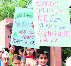 Students of GLS Public School participate in a rally on World Environment Day in Jammu on Saturday.