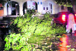 A trail of destruction left behind by a thunderstorm, accompanied by widespread rain, in Gurdaspur on Friday night