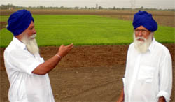 Farmers Harpal Singh (left) and Avtar Singh standing in their fields that were earlier waterlogged, at Pakki Tibbi village in Muktsar district, on Sunday