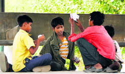 Streetchildren play cards at Rose Garden in Ludhiana