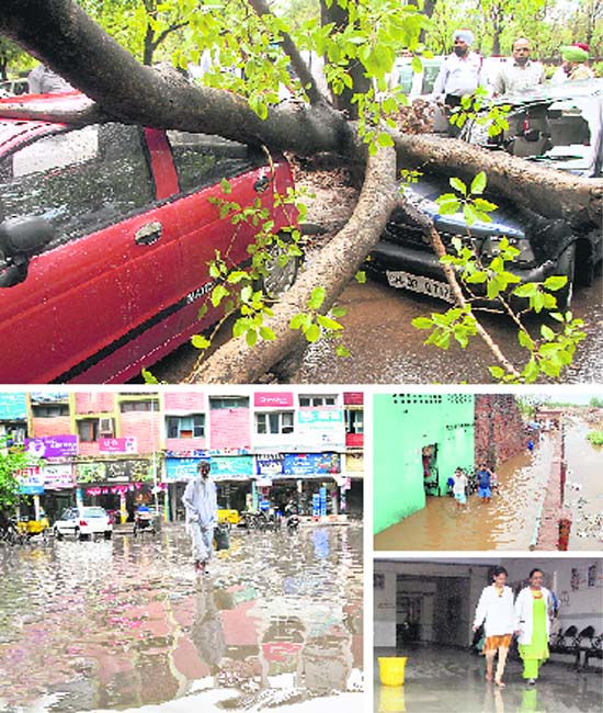Clockwise: A tree that fell on cars behind the parking of the police headquarters; Residents of Dadu Majra colony wade through rainwater flowing in from the adjoining dumping ground; Employees come out of a room inundated during the rain at the civil hospital, Mohali; and A flooded parking of the Sector-27 market in Chandigarh