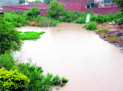 The seasonal rivulet has swelled due to incessant rains on Tuesday in Dashmesh Nagar, Kharar