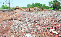 A view of the Bougainvillea Garden, which has been reduced to a garbage dump in Ludhiana.