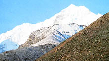 A view of the Chhanguch peak in Pitthoragarh district of the Kumaon region. 