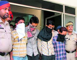 Mobile snatchers in police custody in Ludhiana on Thursday