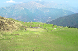 A view of Bedni Bugyal in Chamoli district