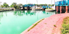 The Bhakra Main Canal brimming to capacity at Tohana in Fatehabad on Friday.