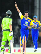 Sri Lankan Lasith Malinga celebrates the dismissal of Salman Butt. 