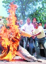 Students and hostel workers burn an effigy of the management at Shivalik hostel on the PEC campus in Chandigarh on Friday.