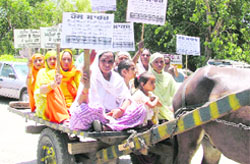 Activists of the Vishwa Guru Ravidass Mission stage a protest against poor healthcare in Ludhiana 